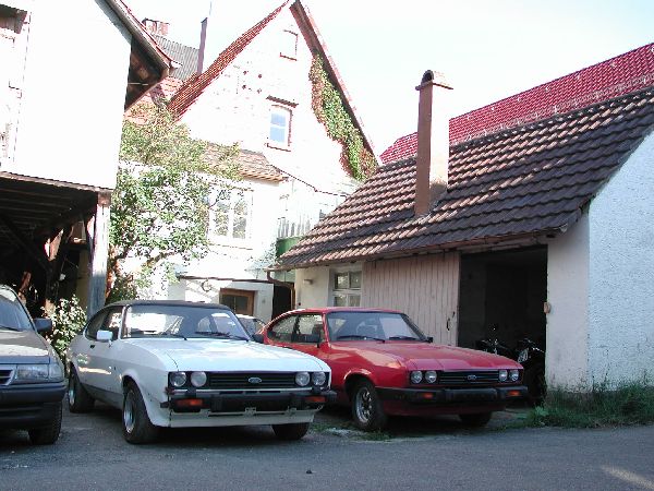 caprighia001.jpg
